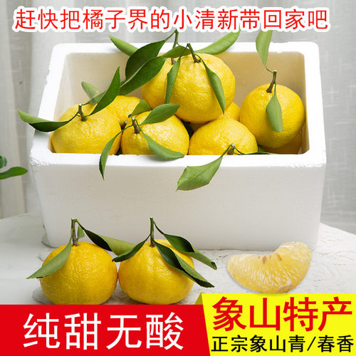 象山青柑橘纯甜无酸不上火黄金柚