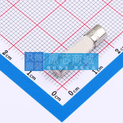 一次性保险丝 0216.050MXP 插件 原装正品 电子元器件配单