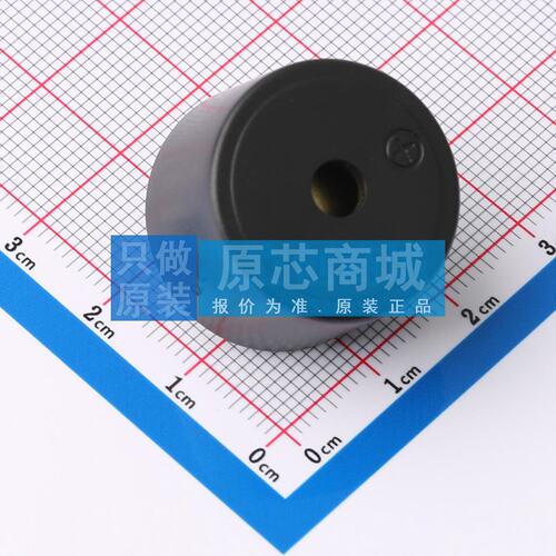 蜂鸣器 SKY-2316-1232-60P15 插件D=23mm 有源(内含驱动线路) 12V