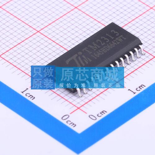 音频接口芯片 TM2313 SOIC-28-300mil 原装正品 电子元器件配单