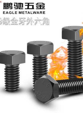 GB5783鹏驰高强12.9级全牙外六角螺丝外六方螺栓六角头MM14M16M20