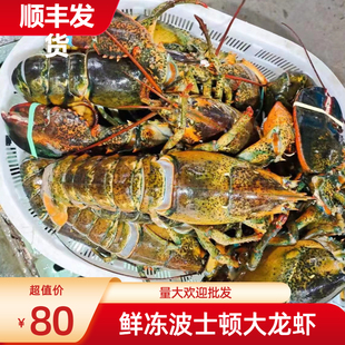 波士顿龙虾大波龙鲜活速冻海鲜澳洲龙虾特大3-15斤超大波龙包邮