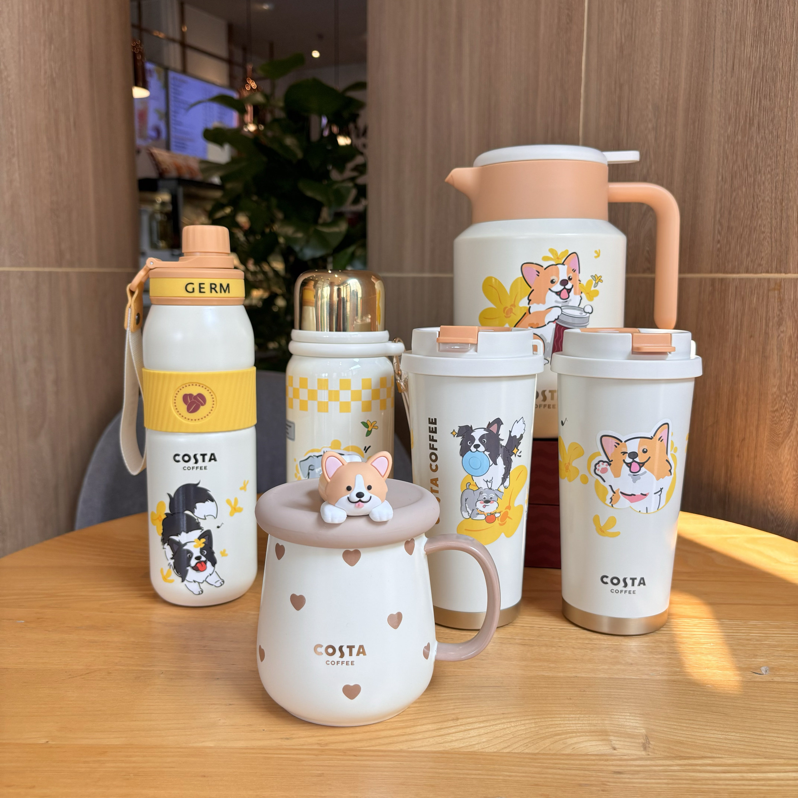 Costa柯基保温杯萌宠乐园系列陶瓷杯水杯带盖勺牛奶咖啡杯送男生