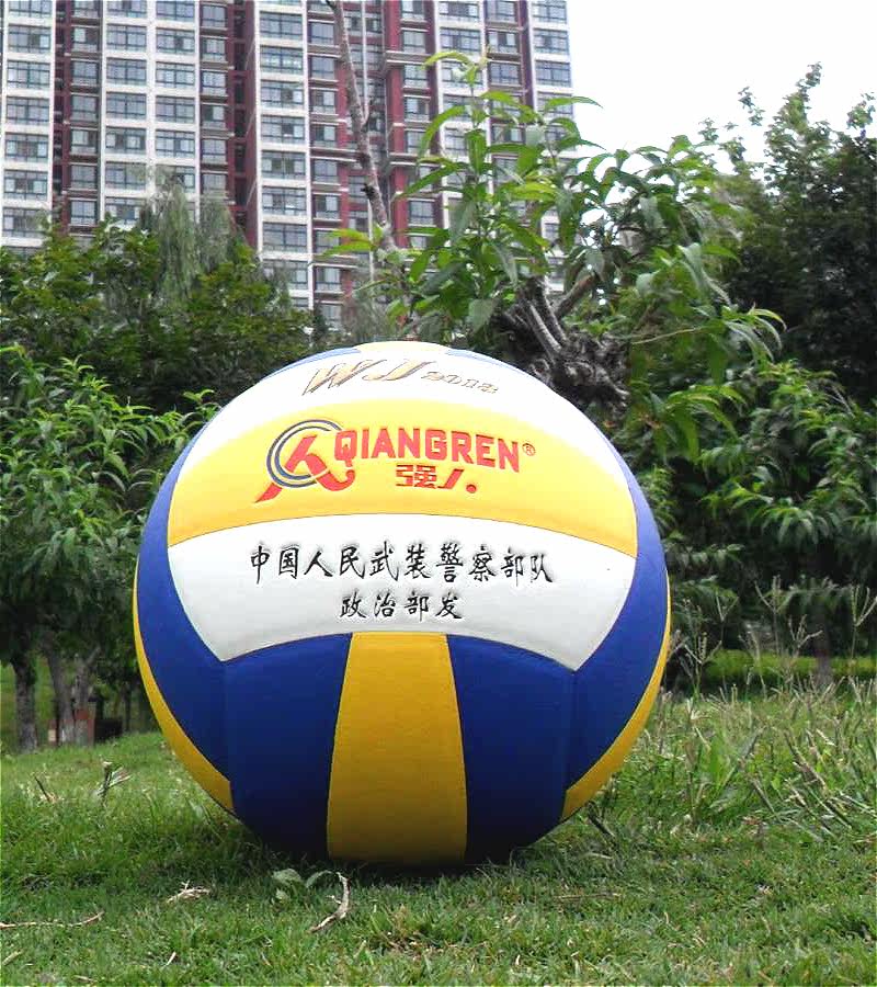 Ballon de volley-ball - Ref 2011819 Image 1