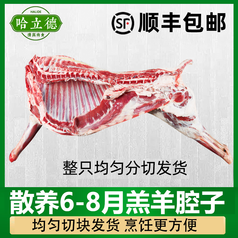 新鲜羊腔子羊蝎子羊前腿