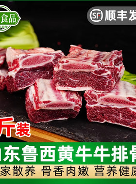 5斤牛排骨牛肋排带骨肋条国产黄牛肉冷冻生牛肉新鲜煲汤餐饮食材