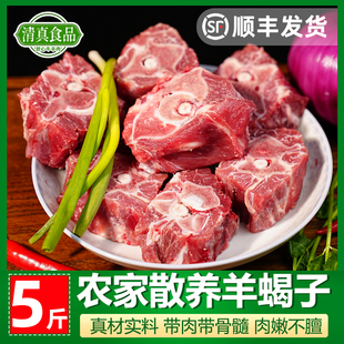 清真羊蝎子羊脊骨羊蝎骨煲汤炖煮火锅国产山羊新鲜原切带肉带骨髓
