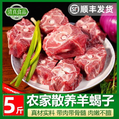 清真羊蝎子羊脊骨羊蝎骨煲汤炖煮火锅国产山羊新鲜原切带肉带骨髓