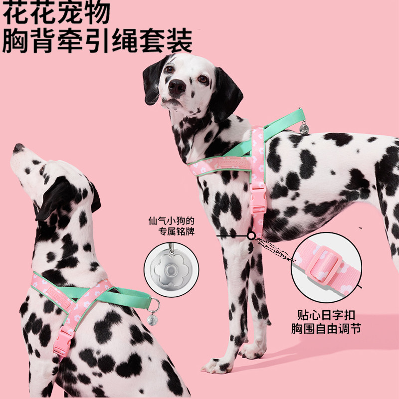 未卡花花狗狗胸背牵引绳套装遛狗出行宠物狗绳子大中小型犬