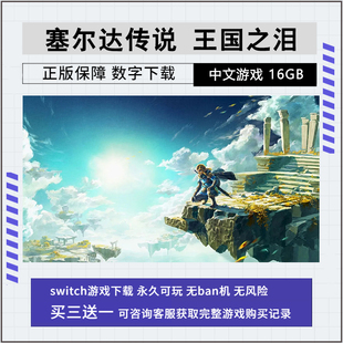 NS游戏 Switch 塞尔达传说 王国之泪 下载版 数字版