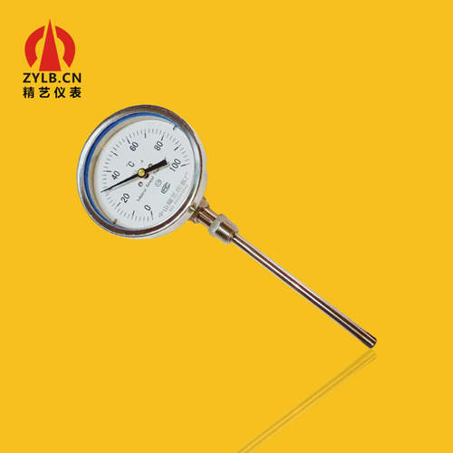 万向双金属温度计全不锈钢304温度表轴向径向WSS-483 100°C DN15