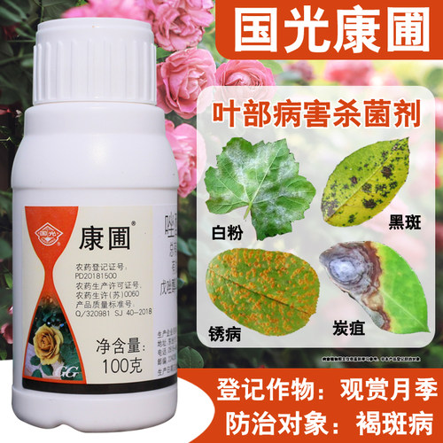 国光康圃月季黑褐斑白粉病杀菌剂