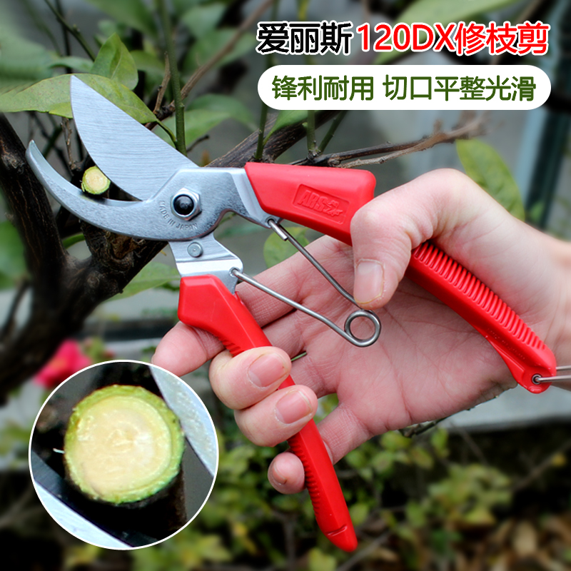 日本爱丽斯130DX枝剪120DX 修枝剪花剪果树修树枝修剪手剪园艺剪