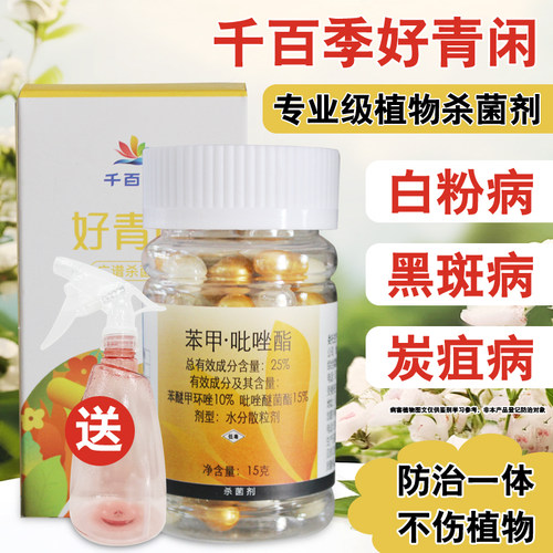 千百季好青闲月季盆栽多肉杀菌剂