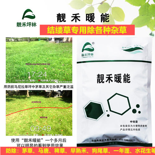 马尼拉结缕草专用杂草全除