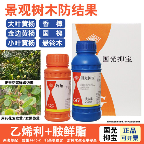 国光抑宝黄杨落花香樟女贞防结果
