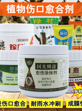 树木植物果树修剪树伤口愈合剂涂抹剂愈伤膏盆景国光糊涂树洞填充
