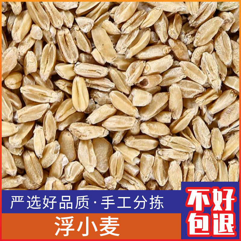 广西浮小麦 特级新鲜浮麦 淮小麦干货止汗茶500g克包邮正品