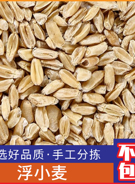 广西浮小麦 特级新鲜浮麦 淮小麦干货止汗茶500g克包邮正品