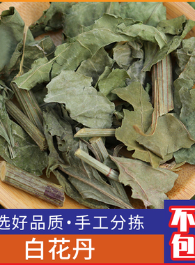 广西野生新鲜白花丹500克 百花丹 白雪花 白花丹茶干货包邮