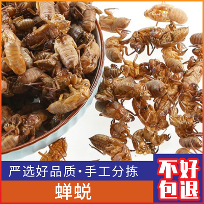 蝉蜕广西天然优质新货干货150克
