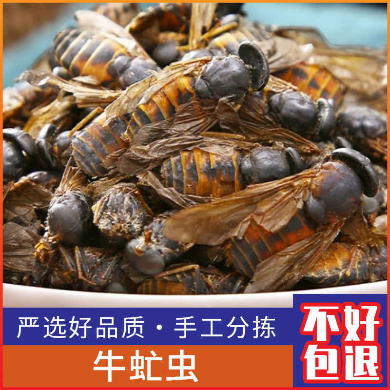 野生牛虻虫新货牛苍蝇 牛蚊子 瞎虻虫 瞎蚂蜂500g正品干货
