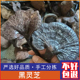 广西纯野生黑灵芝干货整枝黑灵芝紫灵芝泡酒料灵芝250g
