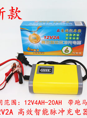 优信2a3a4a6a汽车电瓶充电器
