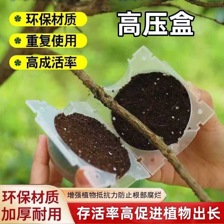 自动扣高压嫁接盒植物繁殖盒