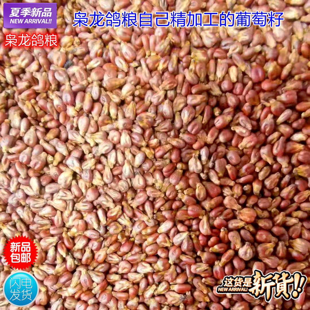 枭龙鸽粮夏季新品鸽用葡萄籽信鸽鸟食