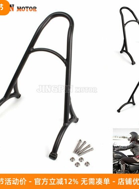 摩托配件哈雷改装 XL883 1200 X48 72 Burly后靠背 后货架 新款