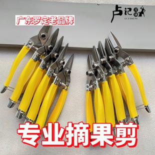 罗定修枝剪修花剪刀枝剪采果园艺家用柑橘桔子刀剪葡萄专用圆头