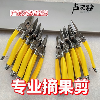 罗定修枝剪修花剪刀枝剪采果园艺家用柑橘桔子刀剪葡萄专用圆头