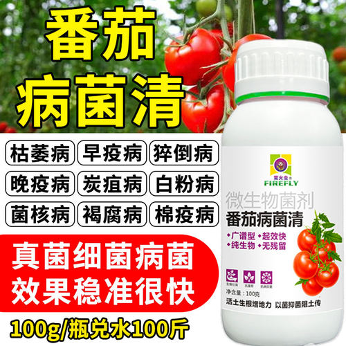 番茄病专用溃疡叶霉灰霉早晚疫病微生物菌剂番茄病害炭疽叶斑
