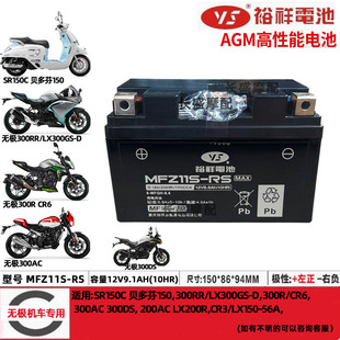 隆鑫无极300RR 300AC/DS 200R/AC 500R 525R 650DS裕祥电瓶蓄电池