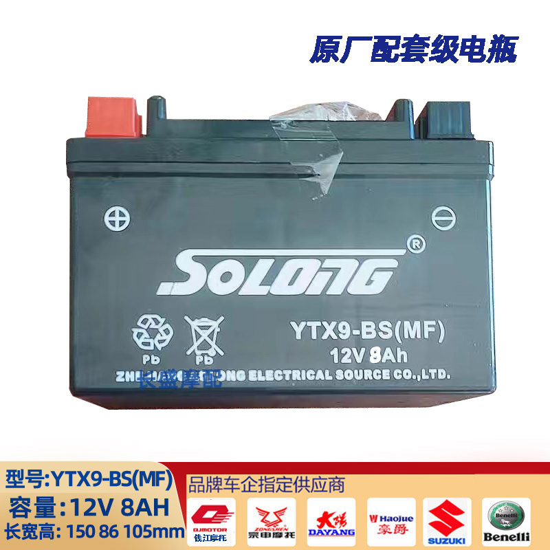 钱江QJ追600 350赛600 550 450 250鸿350逸550骁500闪电瓶蓄电池