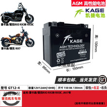 GT12-4雷克RX3 RX3B RX7 650雷卡迪V300 电瓶12v12ah摩托车蓄电池