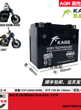 GT12-4雷克RX3 RX3B RX7 650雷卡迪V300 电瓶12v12ah摩托车蓄电池