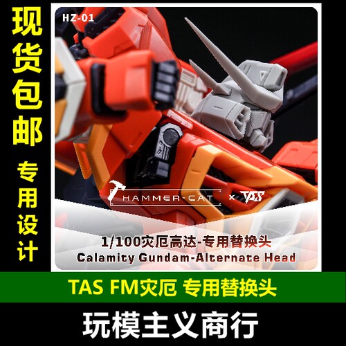 TASFM灾厄专用替换头