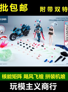 核能矩阵飓风飞蝗拼装机娘