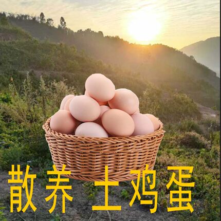 山林散养农家正宗土鸡蛋10枚40枚 新鲜虫草蛋儿童早餐月子蛋