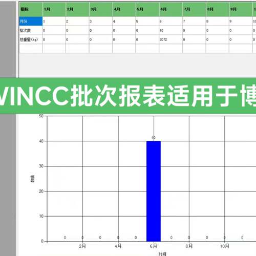 可维修博图WINCC批次报表，水电报表，INTOUCH批次报表水电议价