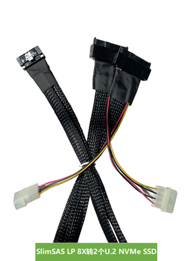 SlimSAS LP 8X(8654)转2个U.2 NVMe SSD,适用Dell服务器H755线缆