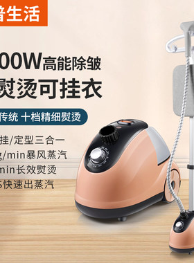 立式家用挂烫机熨烫机手持电熨斗