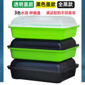 发豆芽神器避光育苗盘蒜苗豌豆苗种植盘种菜盆水培带盖发芽神器