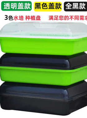 发豆芽神器避光育苗盘蒜苗豌豆苗种植盘种菜盆水培带盖发芽神器