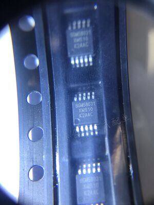 SGM58031XMS10G/TR MSOP10 SGM58031XMS10 SGMICRO圣邦微全新原装
