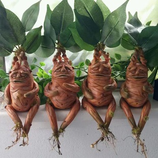 Mandrake曼德拉草树脂摆件家居装饰庭院摆件树脂摆件独立站亚马逊