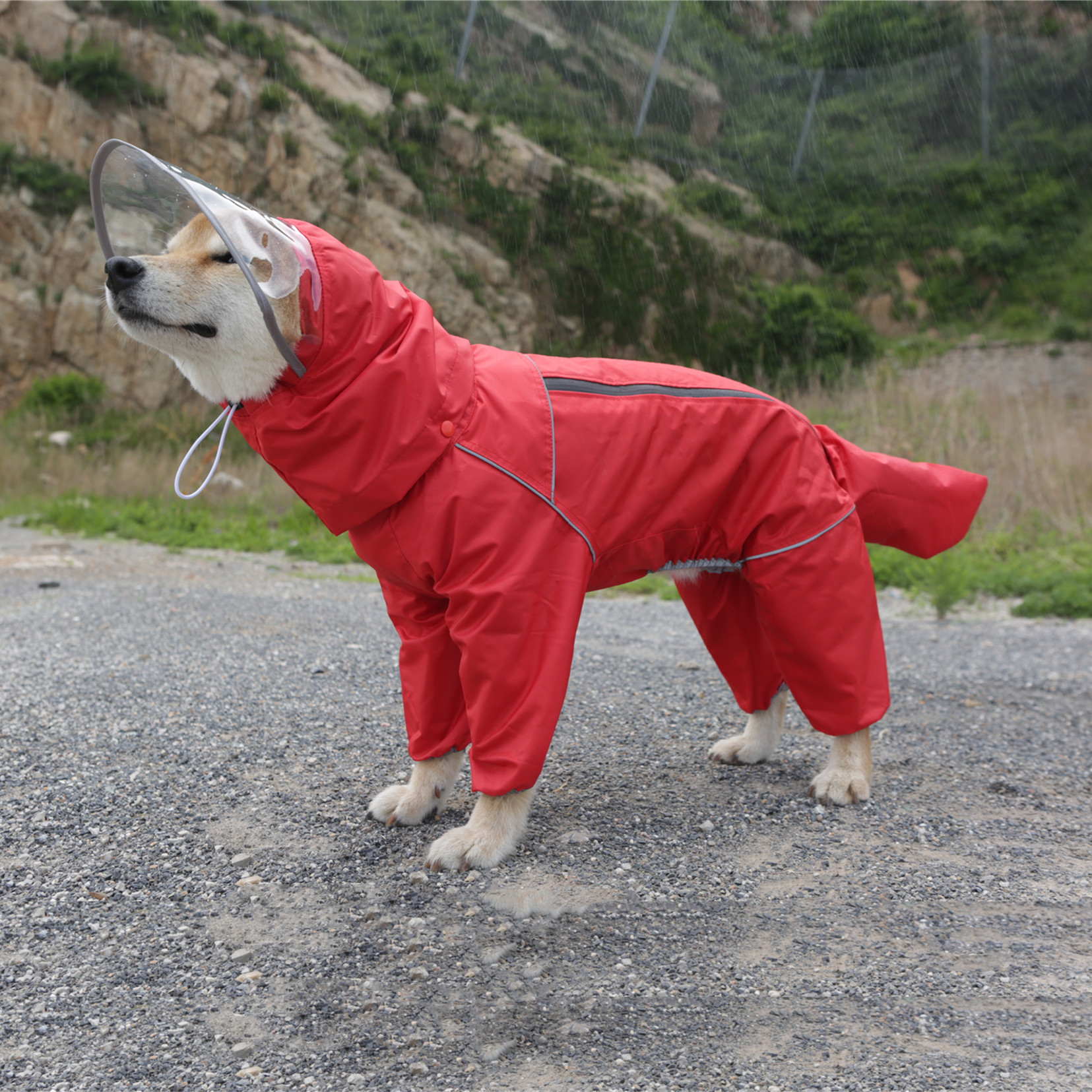 宠物狗狗雨衣柴犬泰迪狗雨衣中小型犬通用四脚全包连尾巴比熊雨衣