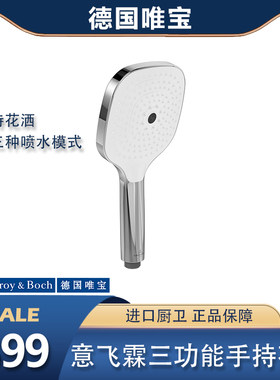 德国唯宝新款大出水手持淋浴花洒